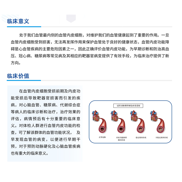 血管内皮功能测试仪插图1